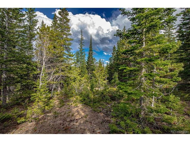 123 Mosquito Creek Rd, Black Hawk, CO 80422