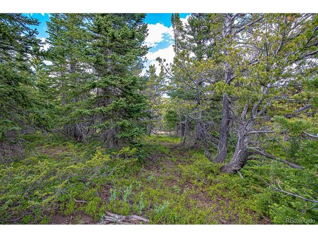 123 Mosquito Creek Rd, Black Hawk, CO 80422