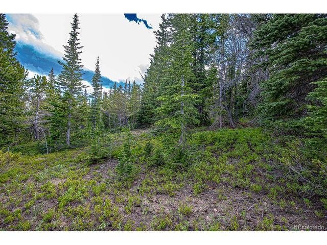 123 Mosquito Creek Rd, Black Hawk, CO 80422