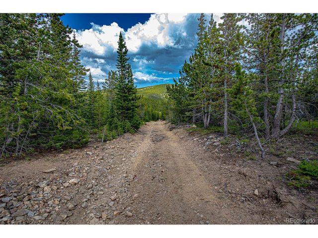 123 Mosquito Creek Rd, Black Hawk, CO 80422