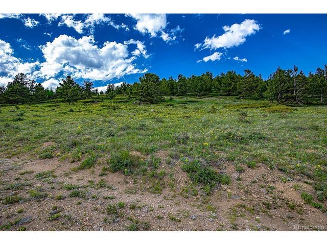 123 Mosquito Creek Rd, Black Hawk, CO 80422