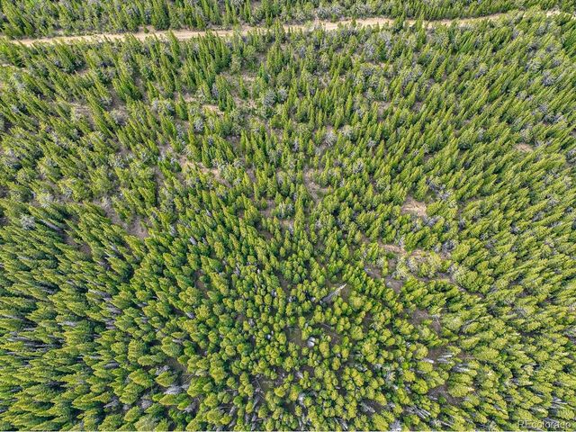 123 Mosquito Creek Rd, Black Hawk, CO 80422