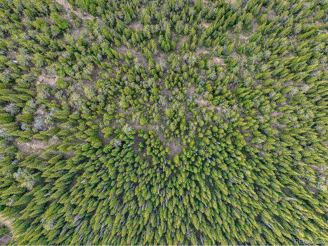 123 Mosquito Creek Rd, Black Hawk, CO 80422