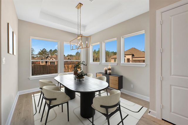 1761 Howler Way, Todd Mission, TX 77316