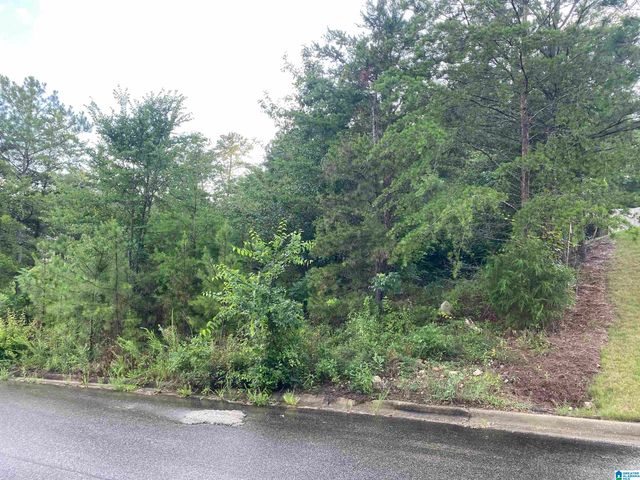 1059 ASBURY CIRCLE, Helena, AL 35022