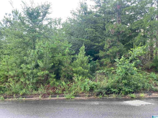 1059 ASBURY CIRCLE, Helena, AL 35022