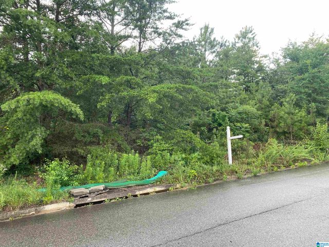 1059 ASBURY CIRCLE, Helena, AL 35022