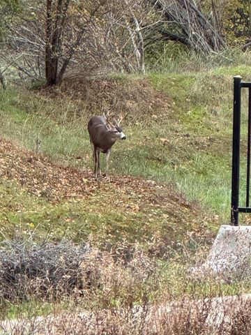 3622 Ginny Court, Redding, CA 96001