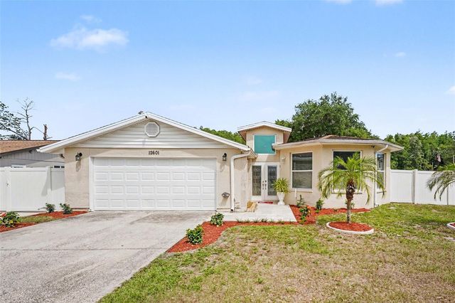 12601 WOOD IBIS WAY, Tampa, FL 33624