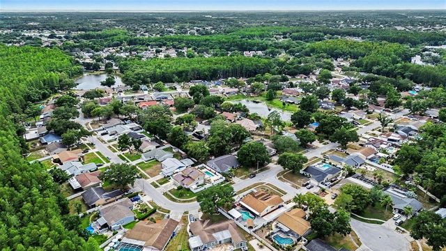 12601 WOOD IBIS WAY, Tampa, FL 33624