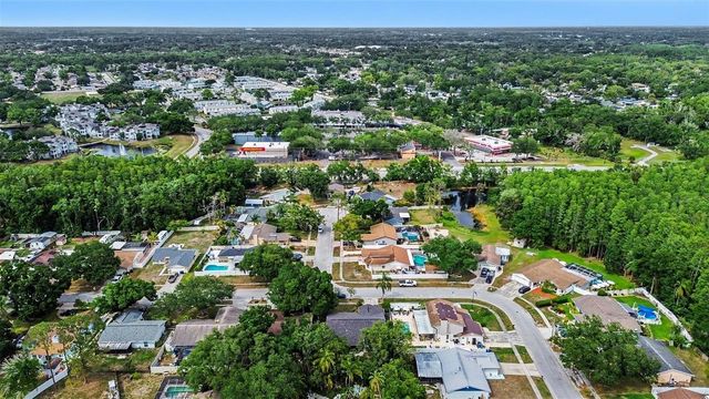 12601 WOOD IBIS WAY, Tampa, FL 33624