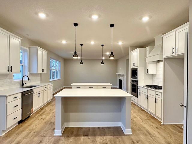 1728 Oak Creek Pass, Chaska, MN 55318