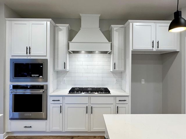 1728 Oak Creek Pass, Chaska, MN 55318