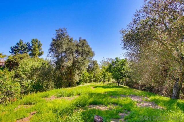 2824 Olive Hill Road, Fallbrook, CA 92028