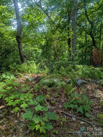 1662 Penley Road, Lenoir, NC 28645