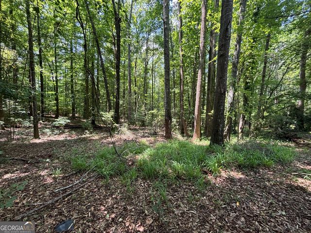 14 Hammock Way, Newnan, GA 30263