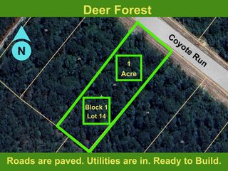 30 Coyote Run, Willis, TX 77378