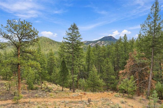 28934 Amerind Springs Trail, Pine, CO 80470