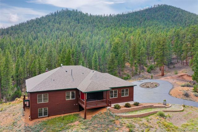 28934 Amerind Springs Trail, Pine, CO 80470