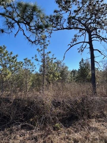 OLD GRADE ROAD, Polk City, FL 33868