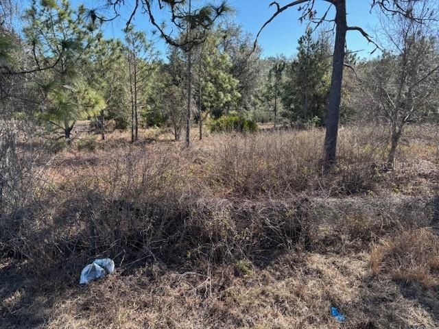 OLD GRADE ROAD, Polk City, FL 33868