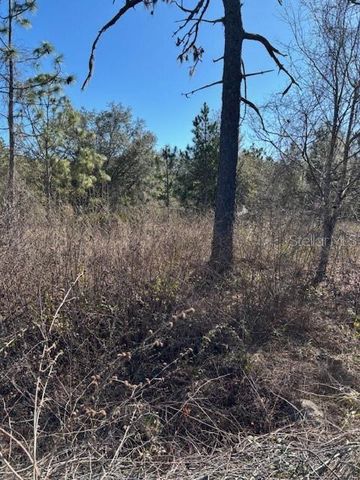 OLD GRADE ROAD, Polk City, FL 33868