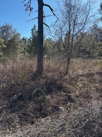 OLD GRADE ROAD, Polk City, FL 33868