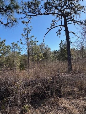 OLD GRADE ROAD, Polk City, FL 33868