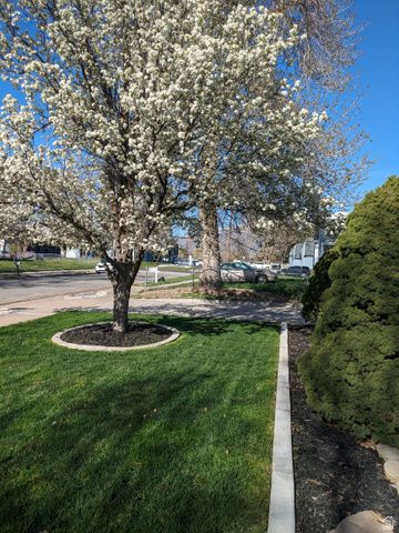 880 E 350 N, Layton, UT 84041