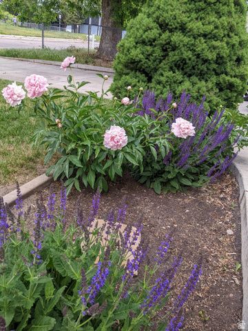 880 E 350 N, Layton, UT 84041