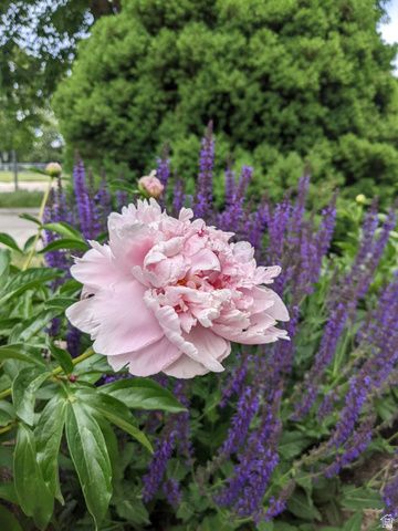 880 E 350 N, Layton, UT 84041