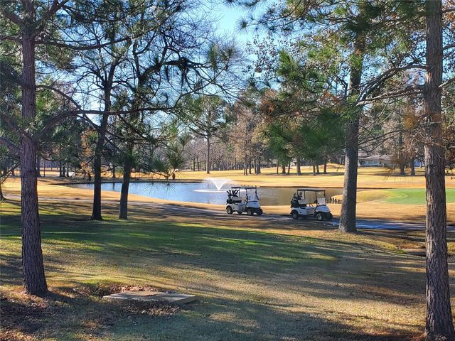 12900 Walden Road 314C, Montgomery, TX 77356