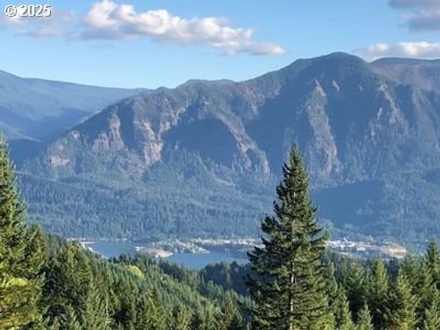 3031 LOOP Rd, Stevenson, WA 98648