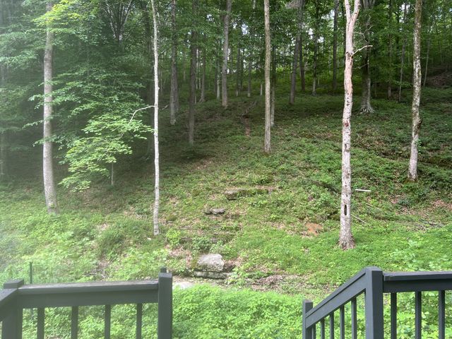 1051 Green Valley Dr, Ashland City, TN 37015