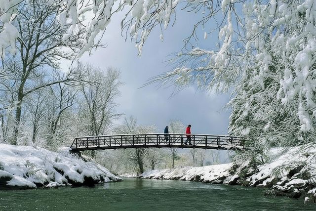 55 Village Green Dr Unit 3D, Stowe, VT 05672