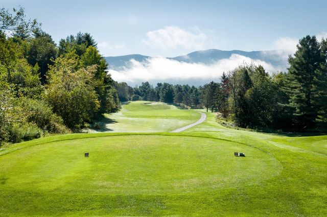 55 Village Green Dr Unit 3D, Stowe, VT 05672