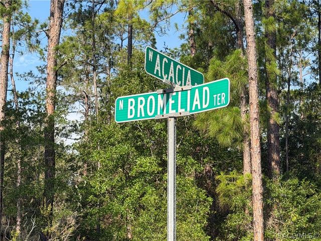 10981 W Acacia Drive, Crystal River, FL 34428