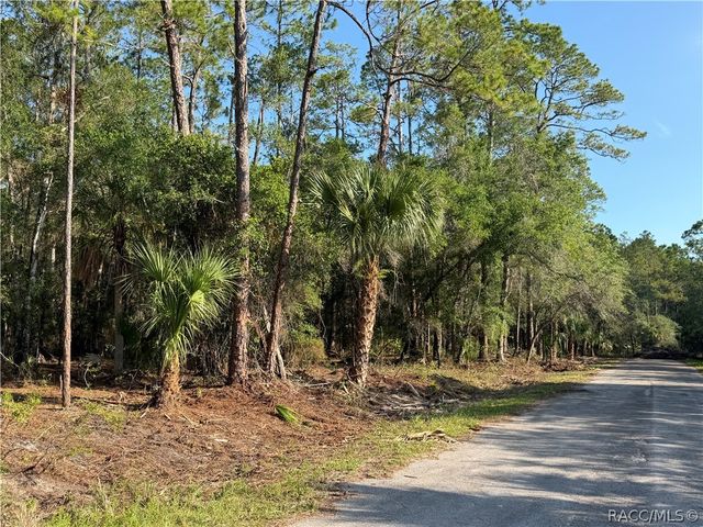 10981 W Acacia Drive, Crystal River, FL 34428