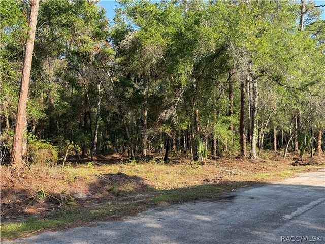 10981 W Acacia Drive, Crystal River, FL 34428