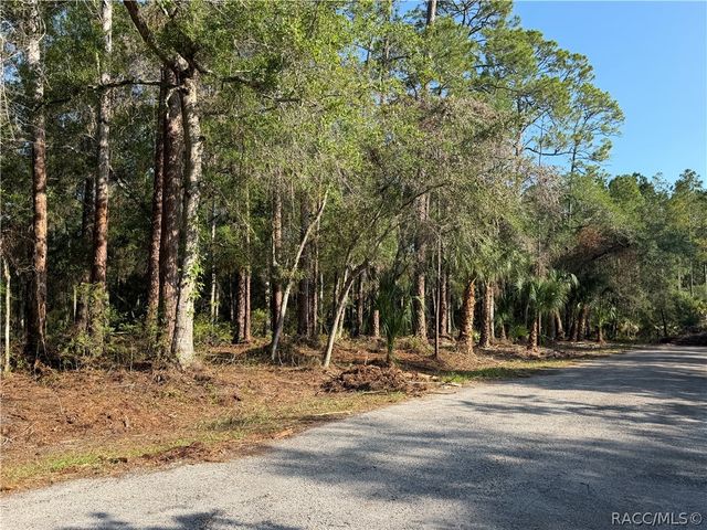 10981 W Acacia Drive, Crystal River, FL 34428