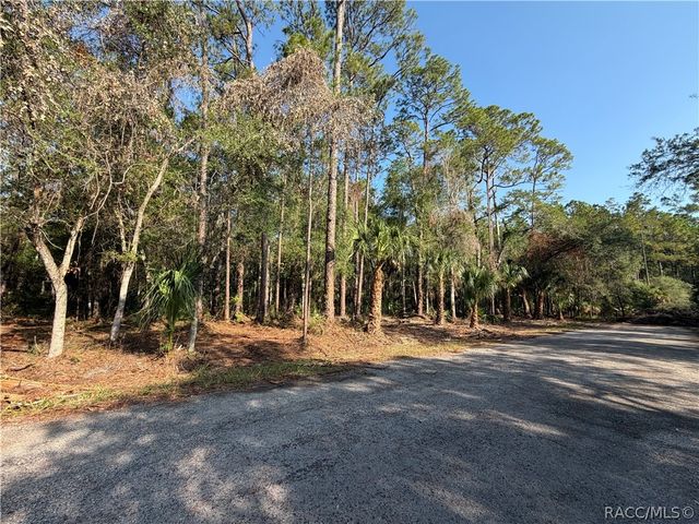 10981 W Acacia Drive, Crystal River, FL 34428