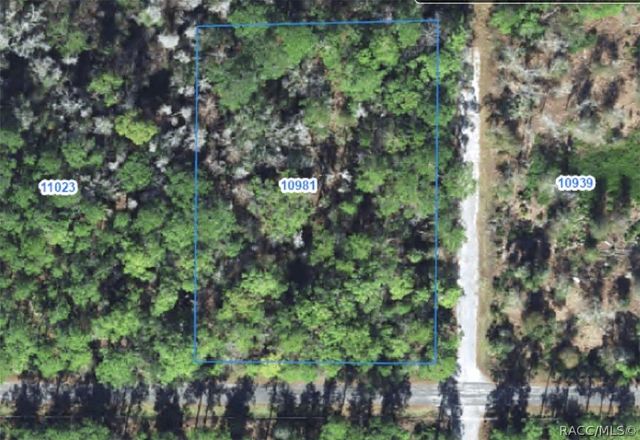 10981 W Acacia Drive, Crystal River, FL 34428