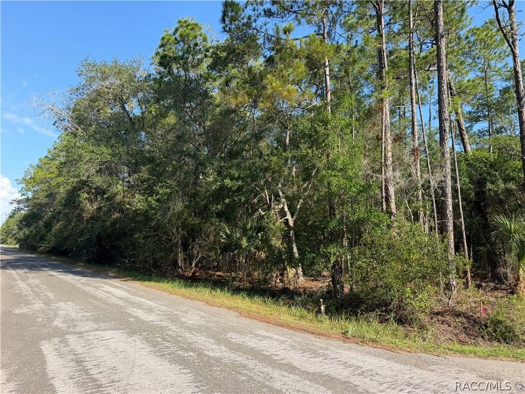 10981 W Acacia Drive, Crystal River, FL 34428