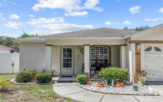 4801 ROCK FISH COURT, Tampa, FL 33617