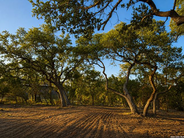 335 SERENITY PASS, Spring Branch, TX 78070