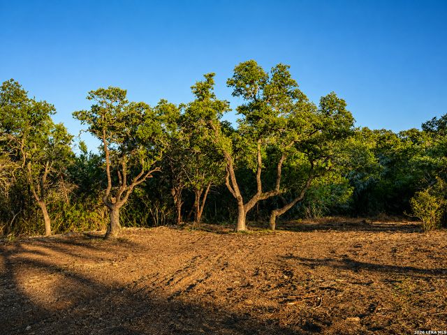 335 SERENITY PASS, Spring Branch, TX 78070