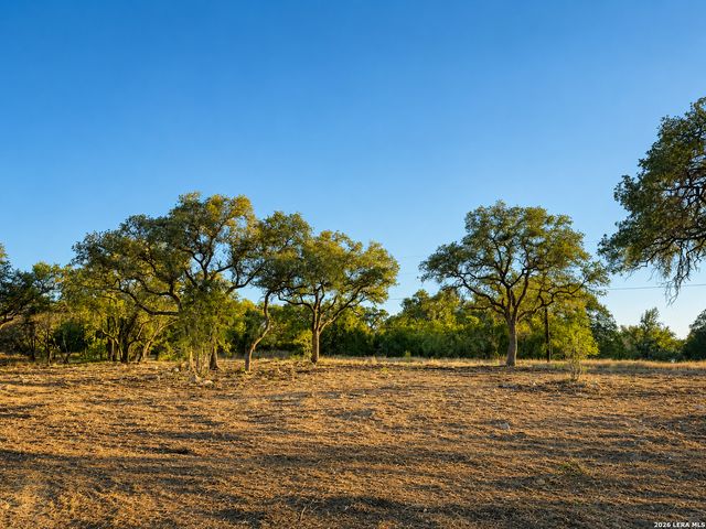 335 SERENITY PASS, Spring Branch, TX 78070