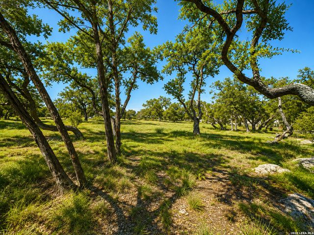 335 SERENITY PASS, Spring Branch, TX 78070