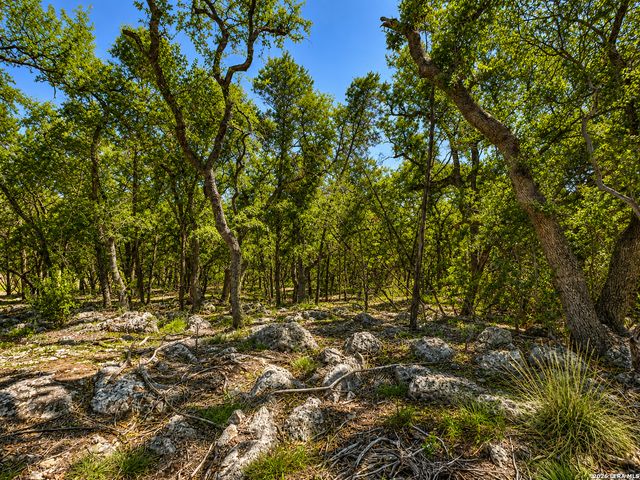 335 SERENITY PASS, Spring Branch, TX 78070