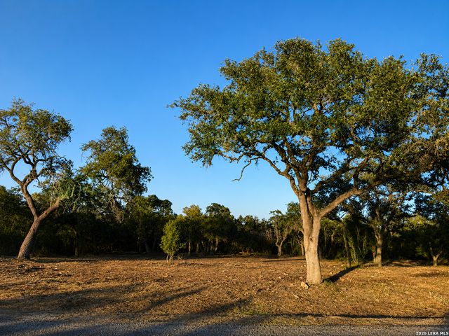 335 SERENITY PASS, Spring Branch, TX 78070